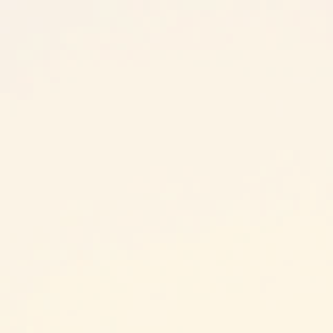 Blue Canoe Organic Bra Ivory / S Organic Cotton Bra - Laura