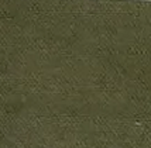 Cutloose Women's Long Sleeve Top Jungle / S 3/4 Sleeve Tuck Front