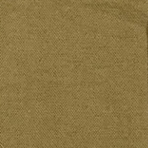 Cutloose Women's Long Sleeve Top Urchin / S 3/4 Sleeve Tuck Front