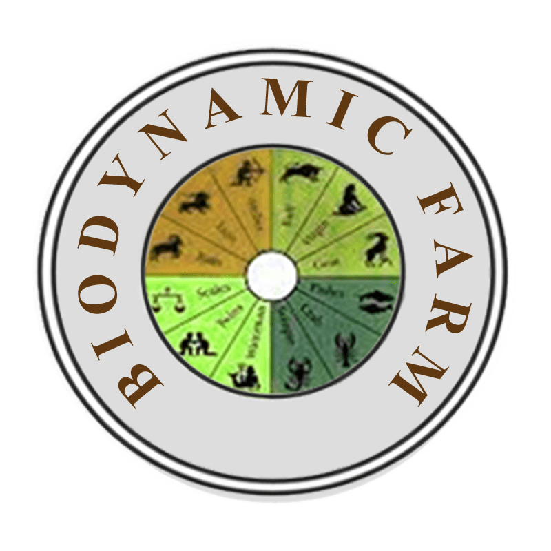 Organic Cotton Side Snap Footie - Airplane - Natural Clothing Company