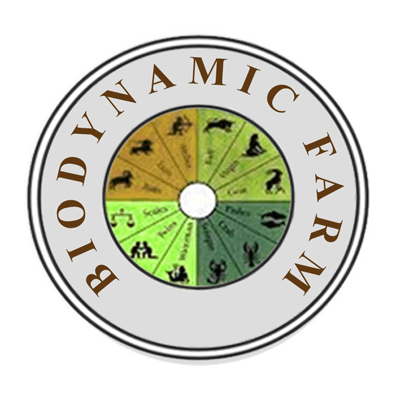 Organic Long Johns (PJs) Set - Natural Clothing Company