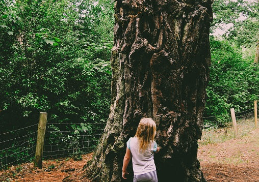 Lessons from Mothers