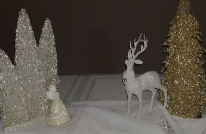 Christmas in a Dark