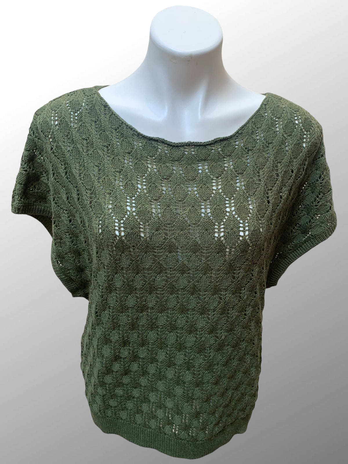 Echo Verde Women&#39;s Sweater Loden Green / O/S Knit Sweater Vest - Birdie