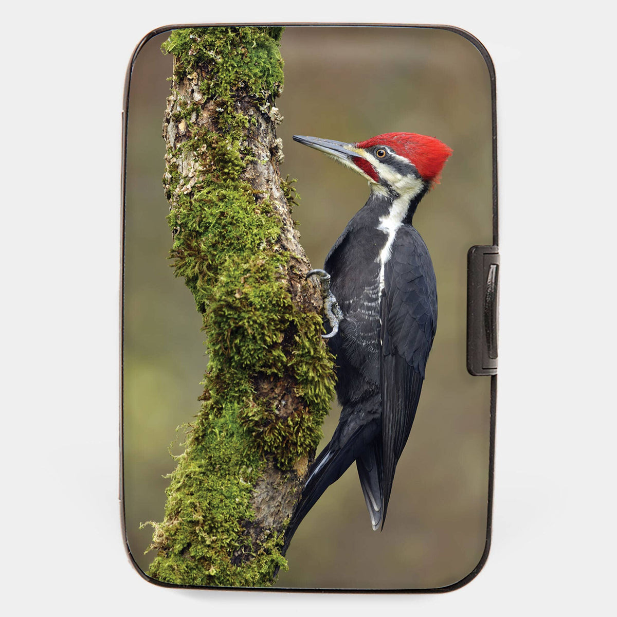 Monarque Woodpecker Armored Wallet RFID protection hard shell