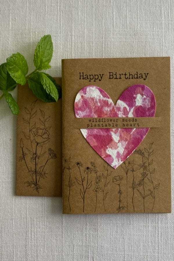 Raven’s Edge Studio Birthday Card 3 Wildflower Seed Plantable Card Gift - Birthday