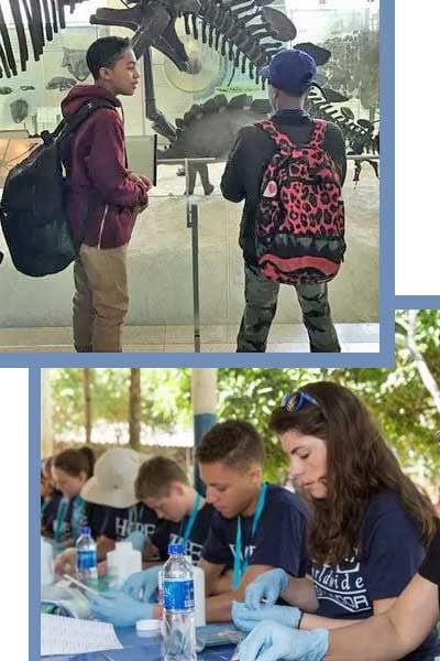 Organic Cotton Bella Leggings - baby 9 mo. to 24 mo. - Natural Clothing Company