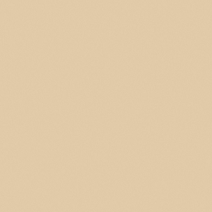 Blue Canoe Organic Bra Beige / S Organic Cotton Bra - Laura