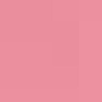 Focus Women&#39;s Sleeveless Top Pink Rose / S Women&#39;s Sleeveless Linen Tunic