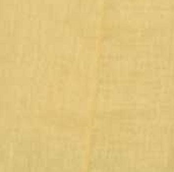 Focus Women's Sleeveless Top Women's Embroidered V-neck Sleeveless Top